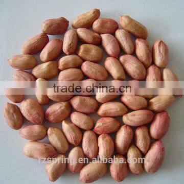 Chinese good quality peanut kernels