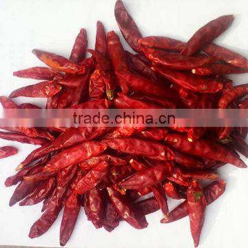 Chaotian chili 10kg vacuum bag per carton with high quality from China for sale