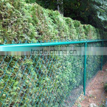 plastic coated chain link fence