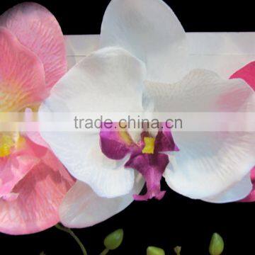 Wholesale Artificial Phalaenopsis Orchids Flower Heads photo-2