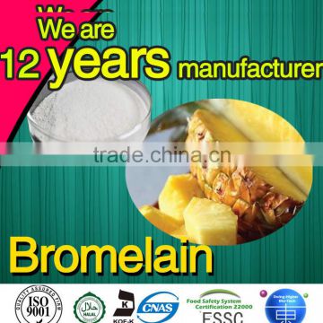 China Plant extract pineapple enzyme bromelain extract factory sale bromelain extract