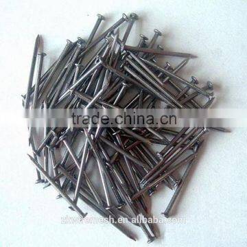 Common Coil Nail/common Nail Iron Nail Factory photo-2