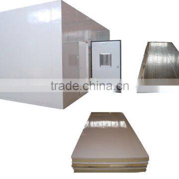 Sandwich panel(polyurethane)