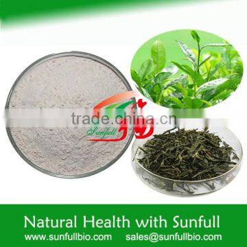 high purity green tea extract EGCG