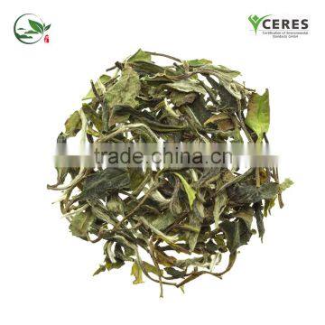 2016 Fresh Best White Tea Brands White Tea Price photo-5