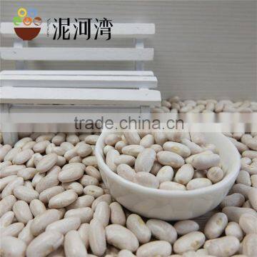 2016 kidney bean white color hot sale with market price