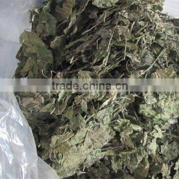 Mulberry Leaf Natural Herbal Tea photo-5