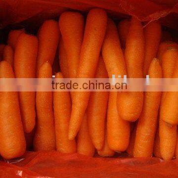 fresh carrot in 9kg carton