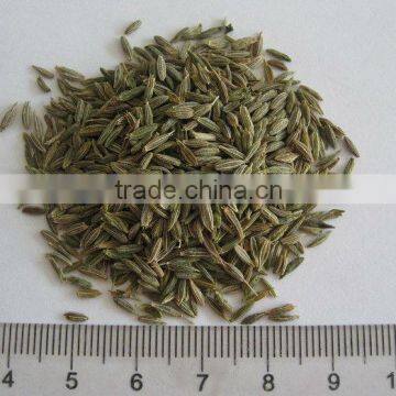 New crop cumin seeds