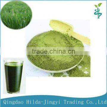 2015 Health food & drink Organic wheat grass powder