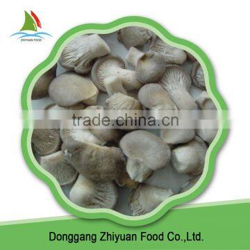 Hot Sale Frozen fresh King Oyster Mushrooms