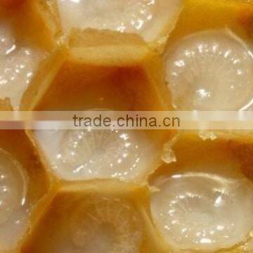 Gelatin free foods for Children Royal Jelly Honey ...