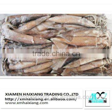 Frozen fish bait-squid price