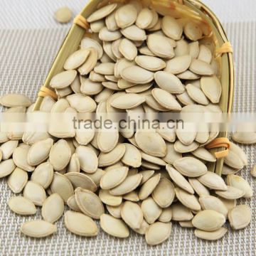 China wholesale all kinds of raw shine skin pumpkin seeds