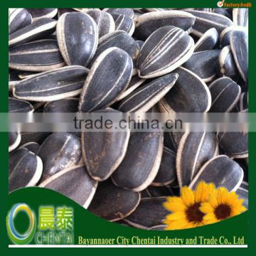 Hot Sell The Sunflower Seeds 1121