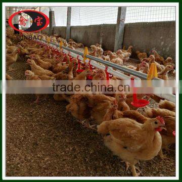 chicken nipple drinkers Automatic Chicken Drinker automatic drinker for chicken