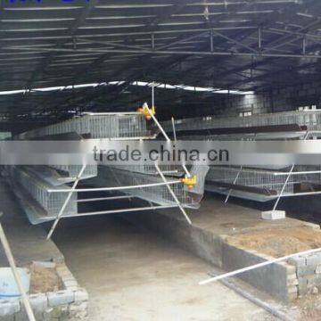 Chicken Cage Poultry Farm photo-3