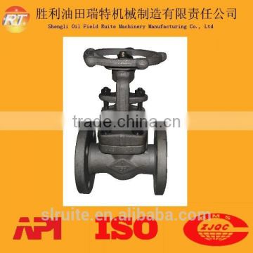 Class 150-1500 Forged Steel Gate Valve