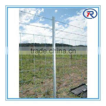 hebei china produce galvanized steel y fence post,Australian y star picket