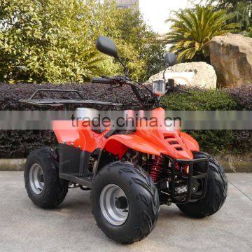 Chinese Cheap Mini Quad Atv 50/70/90/110cc Gasoline Mini Atv photo-5