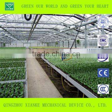 Big Cheep Glass Greenhouse for Seeding photo-3