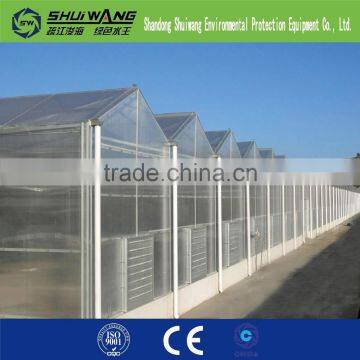Tunnel Plastic Greenhouse Film Agriculture photo-5