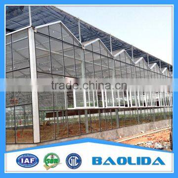 Steel Structure Glass House Glass Greenhouse photo-2
