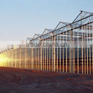 Glass House for Vegetables and Commercial