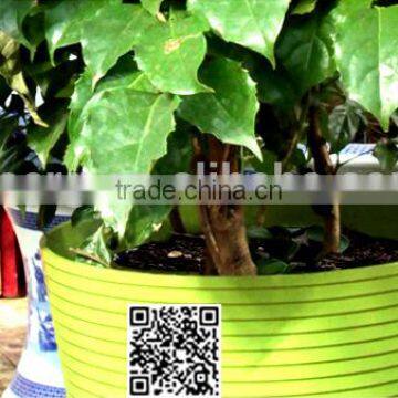 300*270 Biodegradable Colorful Plant Fiber Flower Pot photo-3