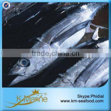 Fair Price Frozen Albacore Tuna Fish