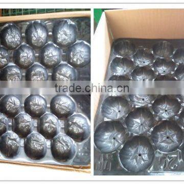 2014 Hot Selling OEM Available Food Grade Thermoformed PP Plastic Trays for Apple photo-5