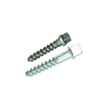 timber screw