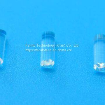 Gradient Index Optical Lens