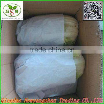 2015 fresh cabbage in China