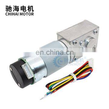 Chihai Motor CHW-GW4058-555 ABHL Hith Torque DC 12V 24V Turbine Worm Helical Gear Reducer Motor Powerful Geared Motor