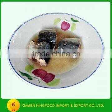 hot sale best canned mackerel 210g canned mackerel in oil from China