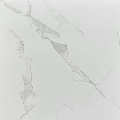 600X600mm Matt Vitrified Ceramic Non Slip Glazed Rustic Porcelain Floor Wall Tile photo-2