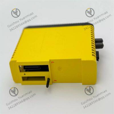 Emerson KJ2221X1-BA1 Repeater Module photo-2