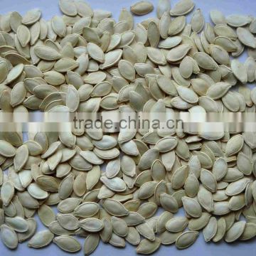 new crop chinese shine skin pumpkin seeds