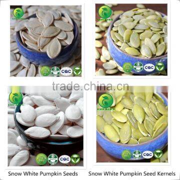 Sunflower Seeds Kernels Confectionary and Bakery Grade photo-4