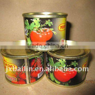 supply large quantity tomato paste