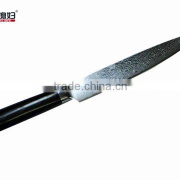 67 Layers Japan or Germany VG10 Damascus Kitchen Knife