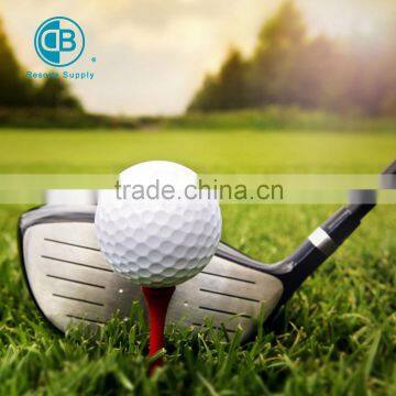 water Soluble Golf Ball