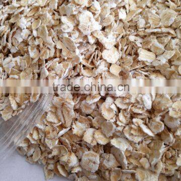 Quaker Oats Quality Oat Flakes in Oats Wholesale Price photo-5