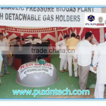 China PUXIN Hydraulic Pressure Low Cost Home Use Biogas Plant, Biogas Digester, Biogas Reactor