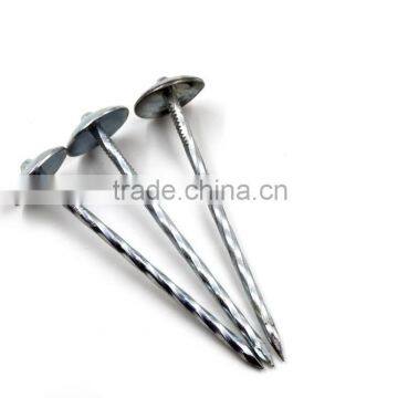 Galvanized Big Head Nails photo-2