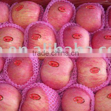 fresh apple