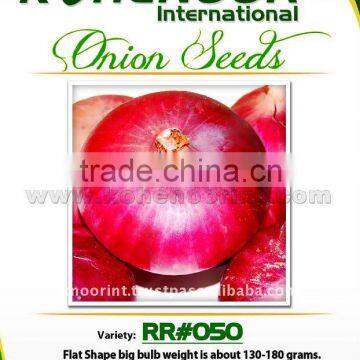 Red Onion Seeds | RR#050