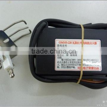 Factory wholesale price universal 220V ac pulse gas electronic ceramic electrode