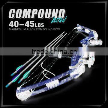 2014 Hunting China Compound Bow for Sale